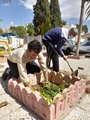 آئین زیبای درختکاری در مرکز آموزشی درمانی شهید آیت الله دستغیب همزمان با اعیاد متبرک شعبانیه